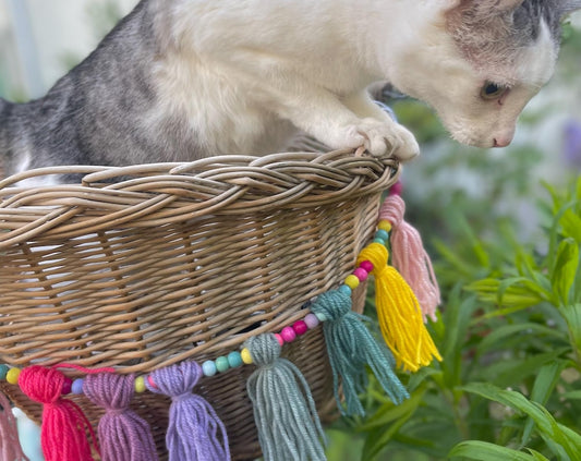 Bicycle garland pennant chain tassels